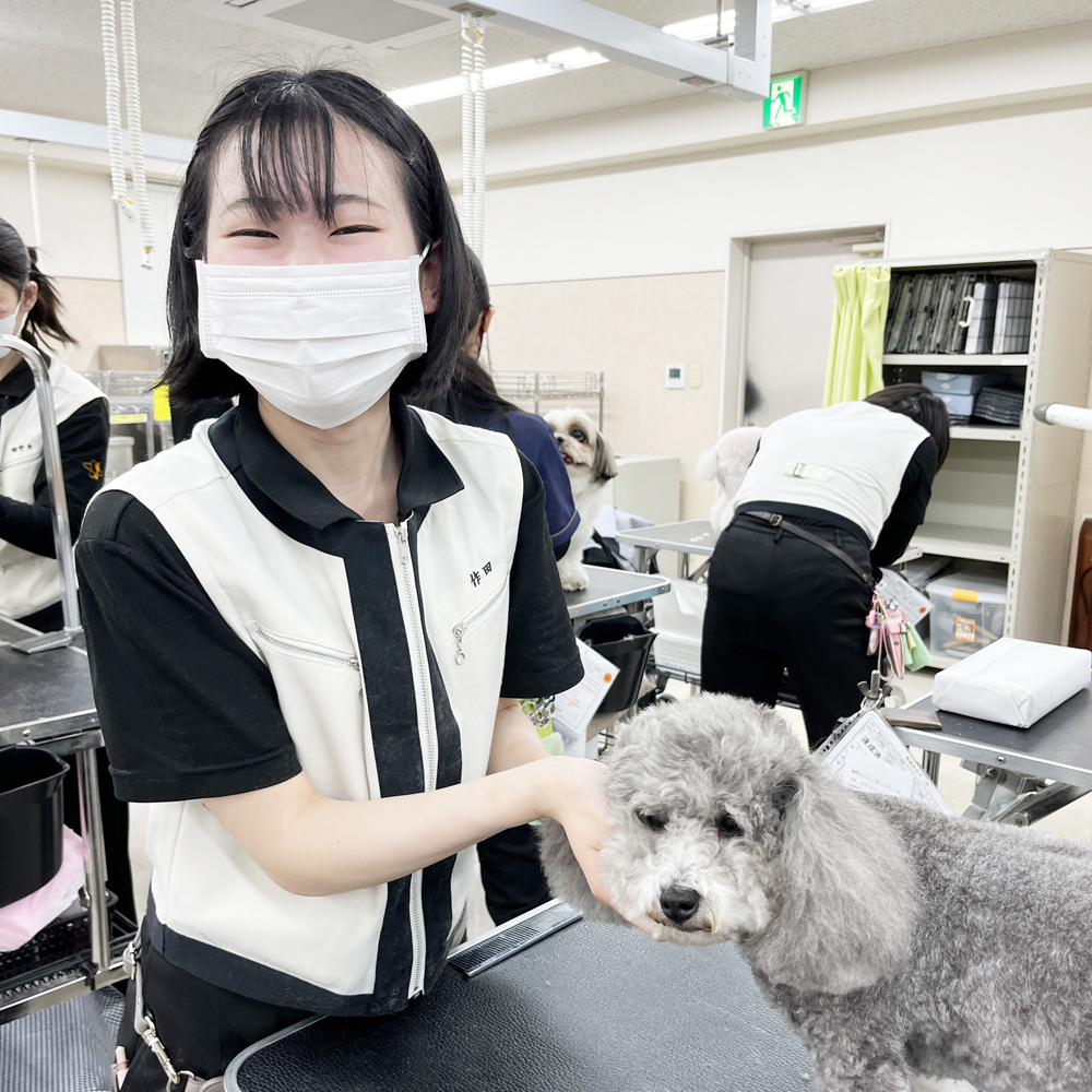 スキルアッププログラム♪